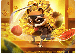 Ninja Raccoon Frenzy